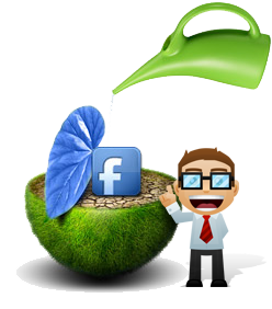 Facebook Marketing by Strategix